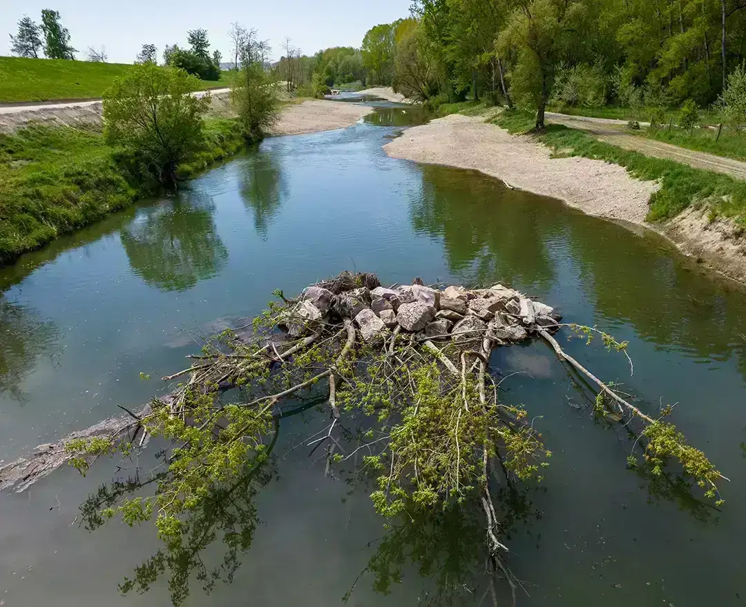 Nahaufnahme der Fischwanderhilfe. Gut erkennbar ist der Raubaum im Wasser, der in Zukunft den Fischen Schutz vor natürlichen Feinden und ein Plätzchen zum Ausruhen verschaffen soll.