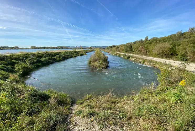 View of the Danube at Altenwörth. The focus is on the fish migration aid located next to the Danube.